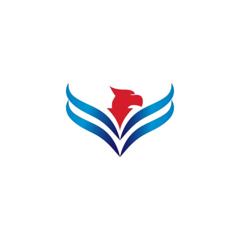 Elegant eagle logo design template PNG Free Download (2)