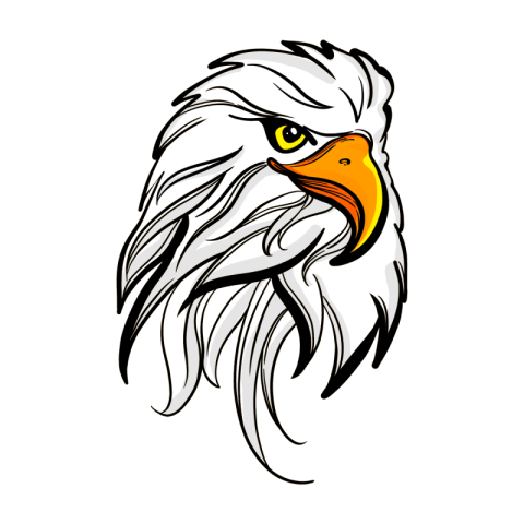 Hooked eagle head clip art PNG free Download