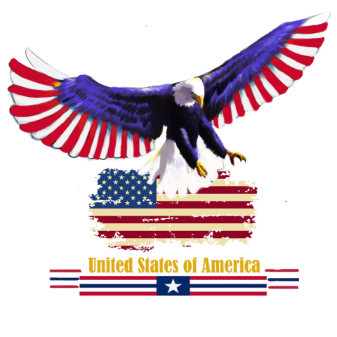 American eagle american flag eagle PNG Free Download