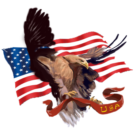 American eagle flying flag elements PNG free Download