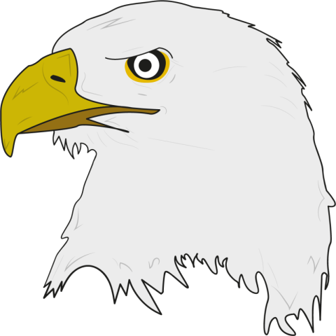 Eagle head PNG free Download