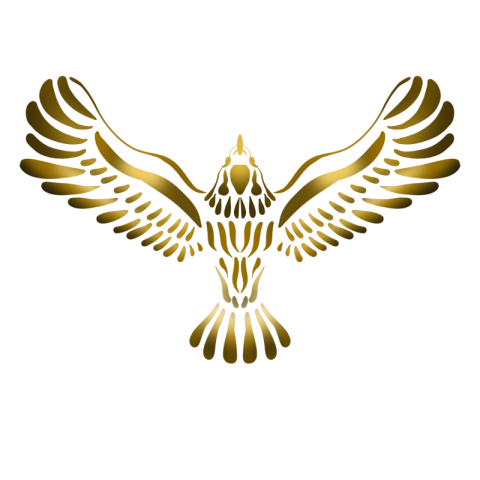 Bohemian golden eagle mysterious spirit PNG Free Download