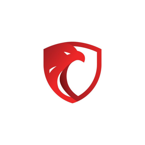 Security shield red eagle logo PNG Free Download