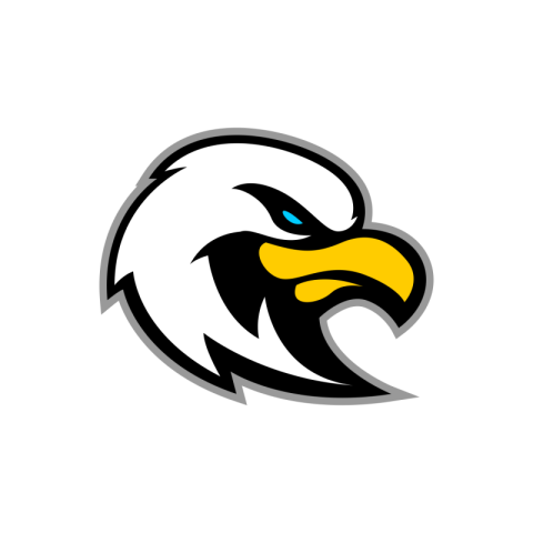 American eagle head PNG Free Download