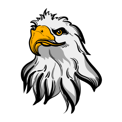 Mighty majestic eagle head clipart PNG Free Download