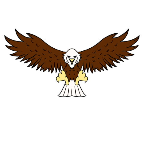 Eagle falcon brown clip art PNG Free Download