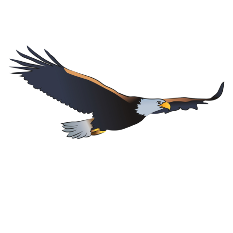Eagle with spread wings vector PNG free Download