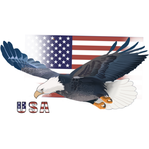 Hand painted portrait of american flag PNG Free Download