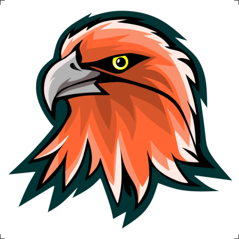 Eagle in an isolated comic PNG free Download