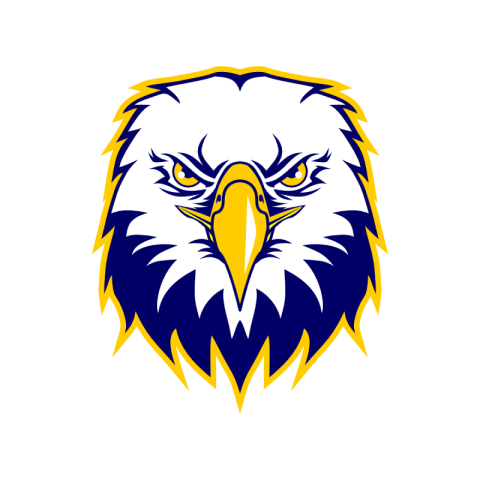 Eagle head or face logo PNG free Download