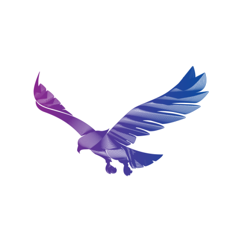 Eagle line logo PNG free Download