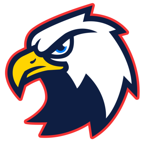Mascot logo eagle transparent background PNG Free Download
