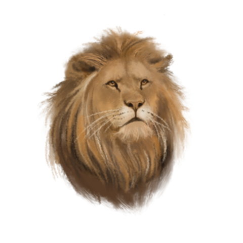 Lion forest king beast elements PNG Free Download