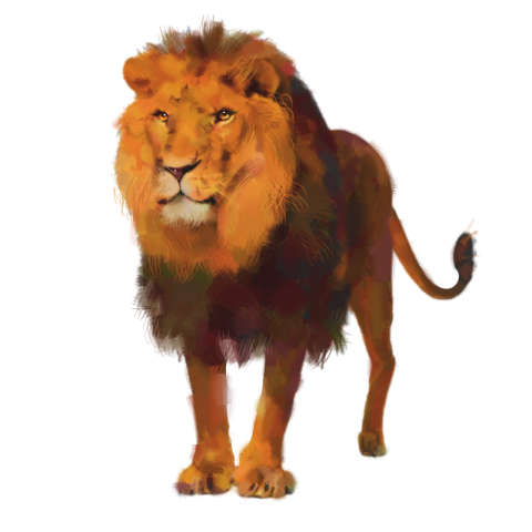 Lion element king PNG Free Download