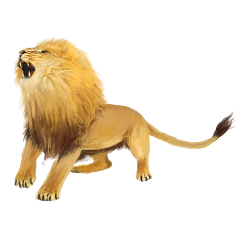 Roaring lion hand painted elements PNG free Download