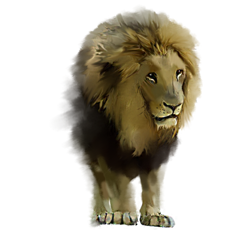 Hand painted elements of lion image PNG free Download
