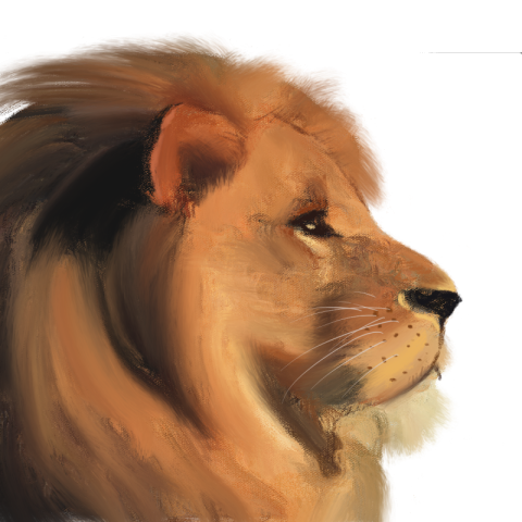 Lion head elements of king PNG Free Download