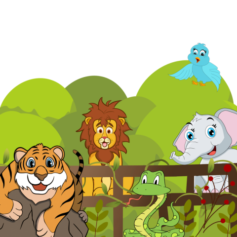 Tiger lion zoo animal illustration PNG Free Download