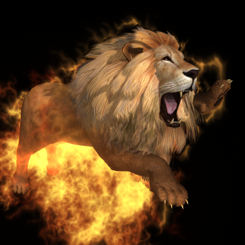 Wild fire lion lion king PNG Free Download