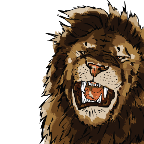 Roar angry lion PNG Free Download