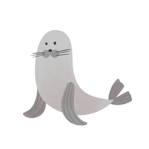 Hand drawn cute sea lion PNG Free Download