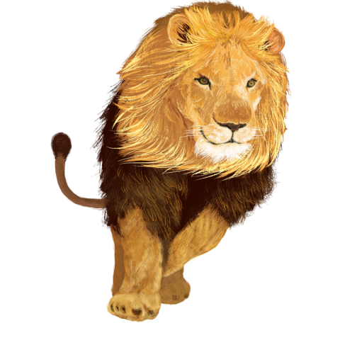 Wild fierce lion king PNG Free Download