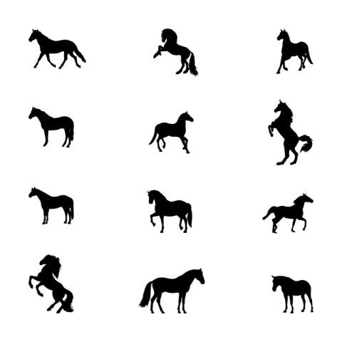 Horse silhouettes PNG Free Download