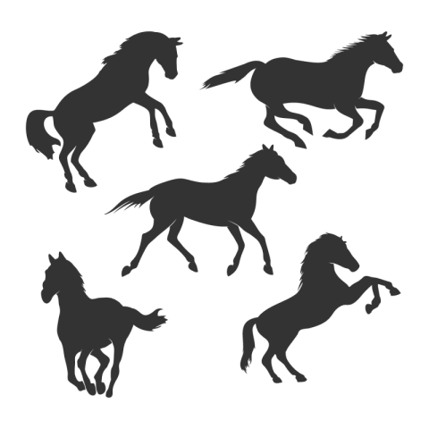 Beautiful horse silhouette graphic design PNG Free Download