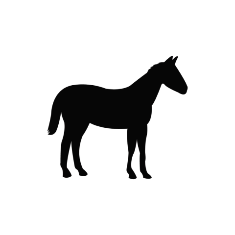Horse icon PNG free Download