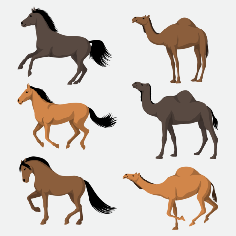 Horses and camels in flat PNG free Download