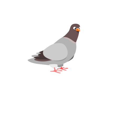 Rock Dove PNG Vector Icon Image Free Download