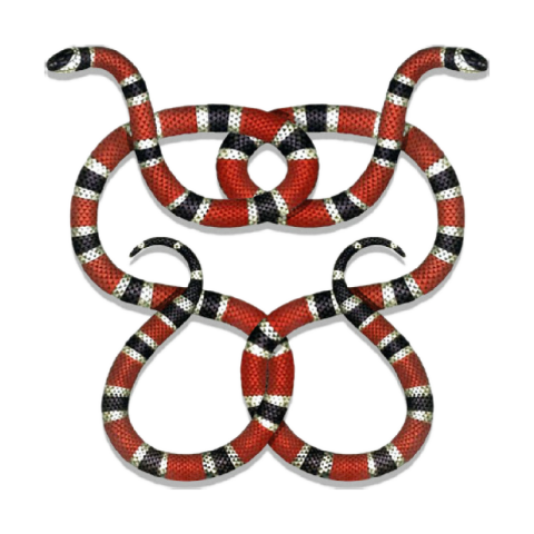 Coral Snake Kingsnake Milksnake Retile , Pain PNG Picture