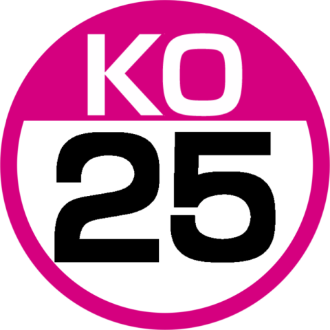 Twenty Five Number PNG Logo