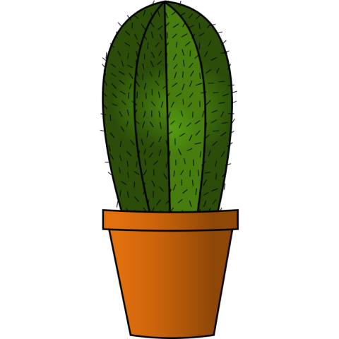 Cute Cactus PNG Icon Free Download