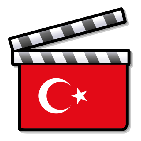 SVG Move Cut Turkey Flag PNG Design Icon