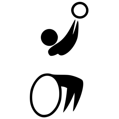 TRansparent Background Wheelchair PNG Icon