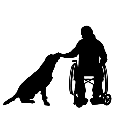 Wheelchair person with dog PNG Sticker Free Download