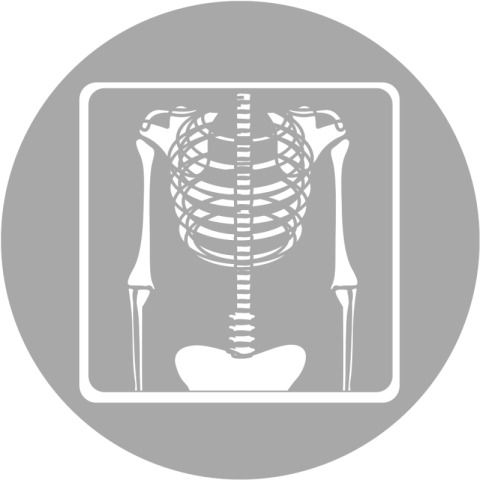 Circular X Ray PNG Sticker Free Download