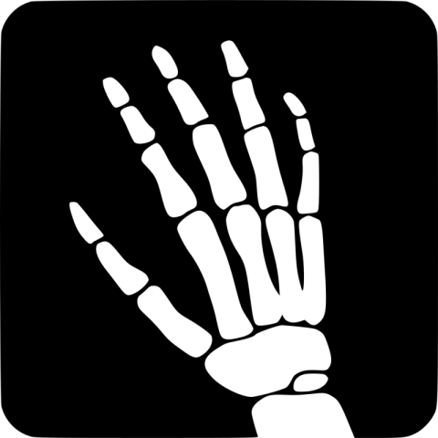 Full Hand Bones X Ray PNG icon Free Download