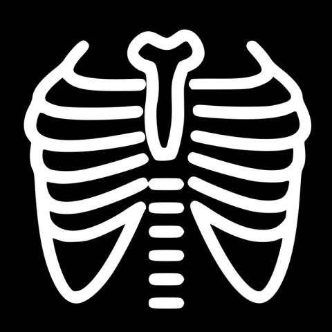 Chest X Ray PNG Symbol Free Download