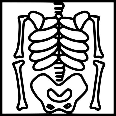 X Ray PNG Outline Free Download