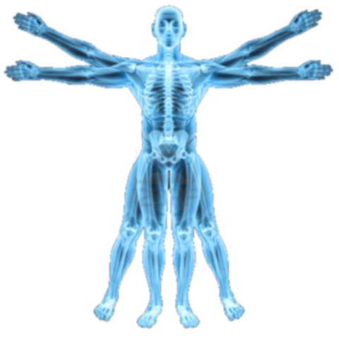 Digital X Ray PNG Image Free Download