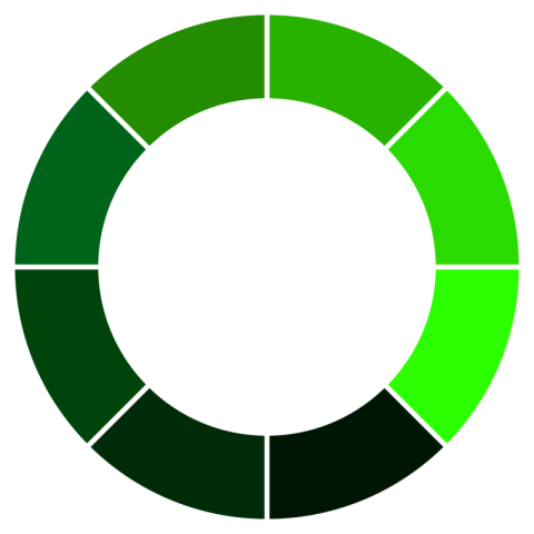 Circle Green icon
