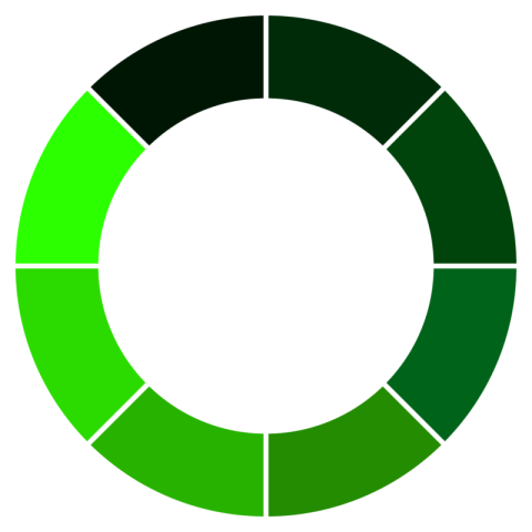 Circle icon green colour