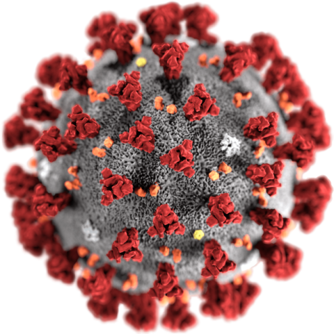 Psd Stop Coronavirus PNG Logo Free Background