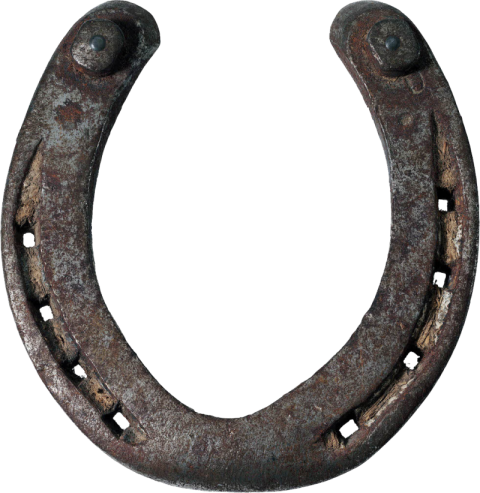 Silver Horseshoe PNG Image on Free Download