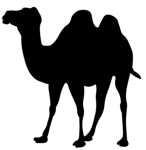 Camel png free clipart image