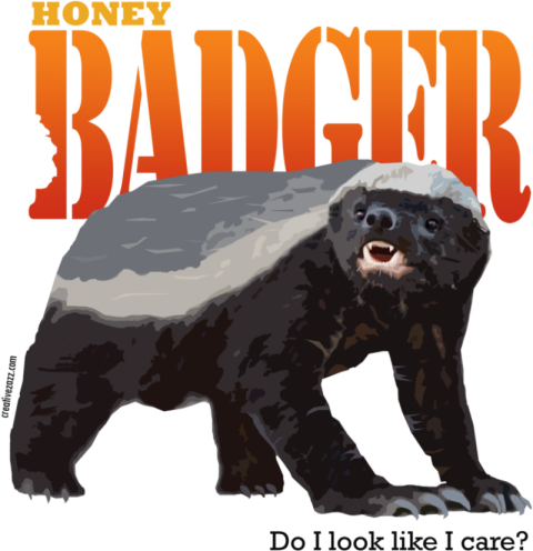 Badger With Texture PNG Image Transparent Free Download
