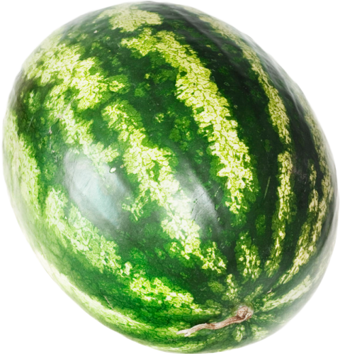 Free download Watermelon PNG photo