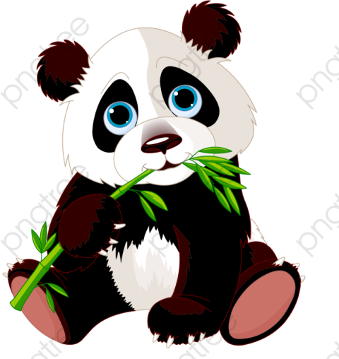 Sad Panda Bear PNG Animal Free Download Image